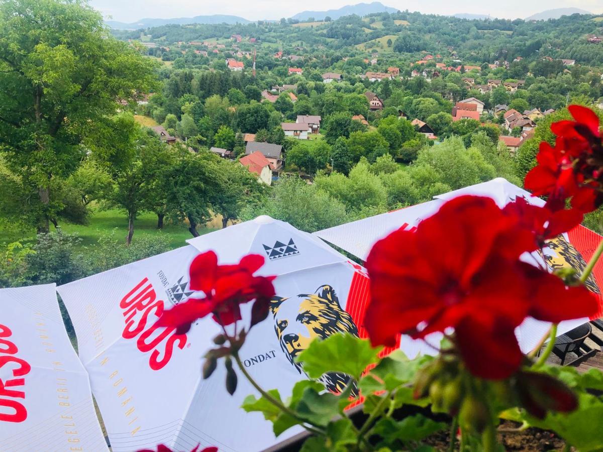 Pensiunea Ursulet Bran Bran  Exteriér fotografie