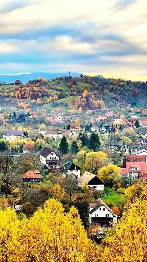 Pensiunea Ursulet Bran Bran  Exteriér fotografie