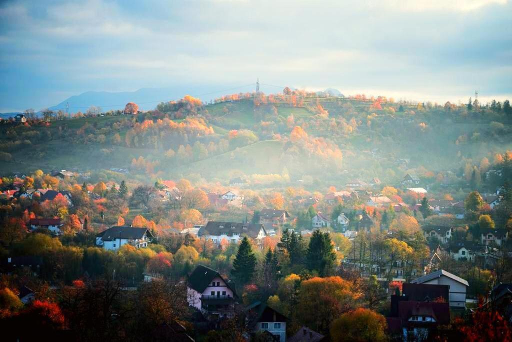 Pensiunea Ursulet Bran Bran  Exteriér fotografie