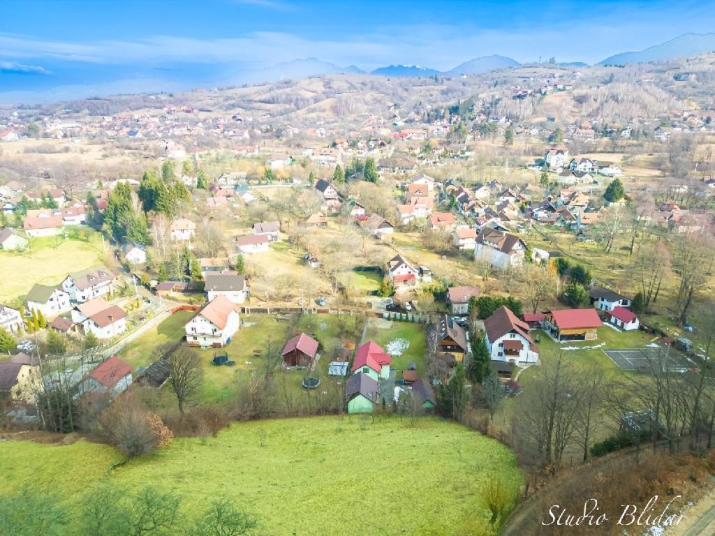 Pensiunea Ursulet Bran Bran  Exteriér fotografie